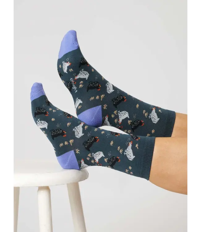 THOUGHT  •• Dames Chicken Organic Cotton Socks | Blue Slate