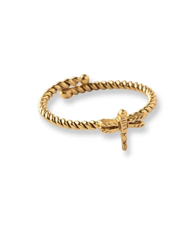 A BEAUTIFUL STORY •• Honorable Libelle Vergulde Ring