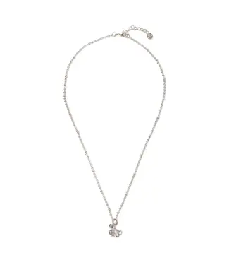 A BEAUTIFUL STORY •• Convinced Labradorite Necklace Silver Plated