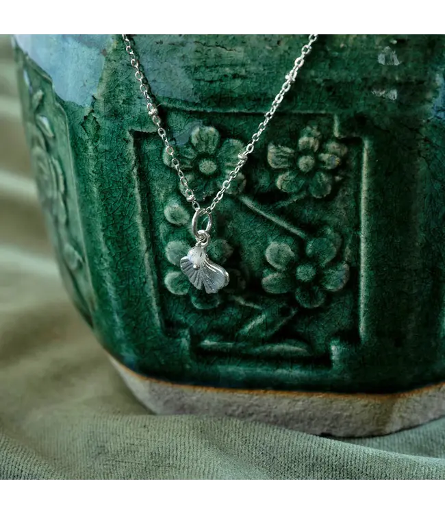 A BEAUTIFUL STORY •• Convinced Labradorite Necklace Silver Plated