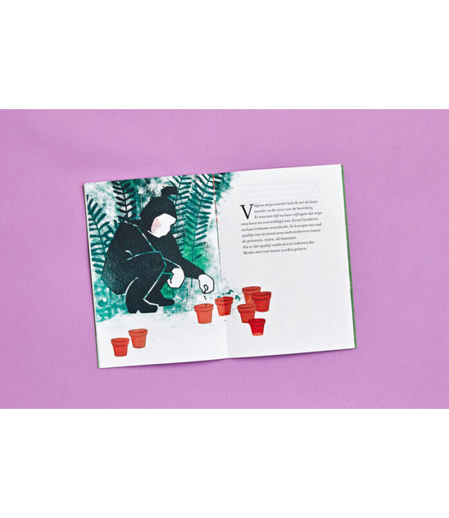 Loopvis •• Kakkerlakje | Ondersteboven tussen de petunia’s