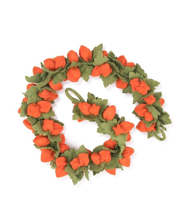 SJAAL MET VERHAAL  •• Viltslinger Guirlande Physalis Lampion
