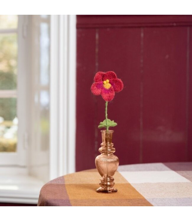 SJAAL MET VERHAAL  •• Winterviool