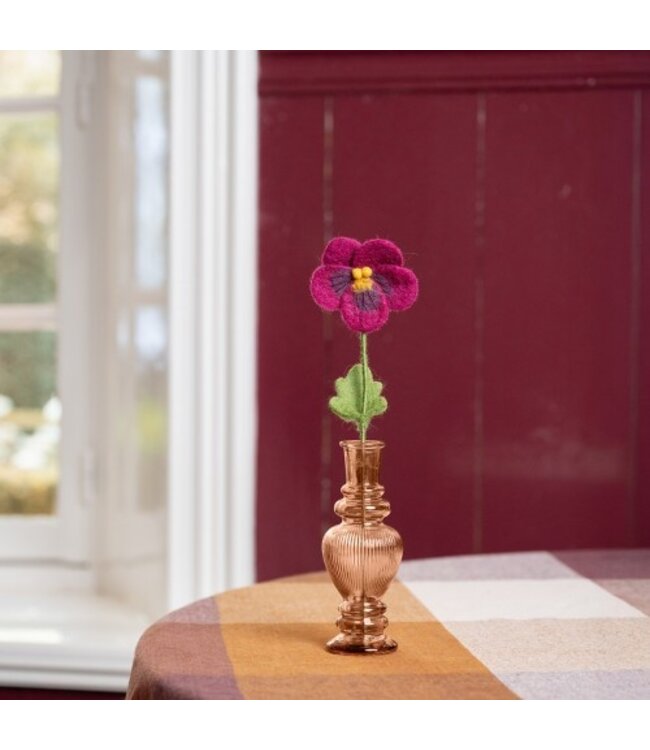 SJAAL MET VERHAAL  •• Winterviool