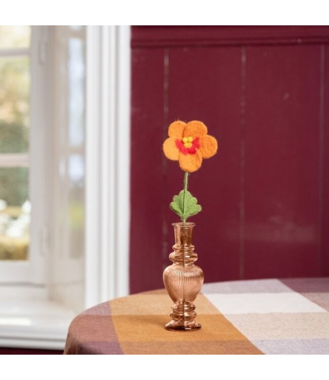 SJAAL MET VERHAAL  •• Winterviool