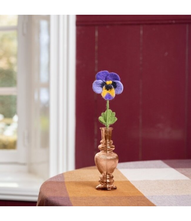 SJAAL MET VERHAAL  •• Winterviool