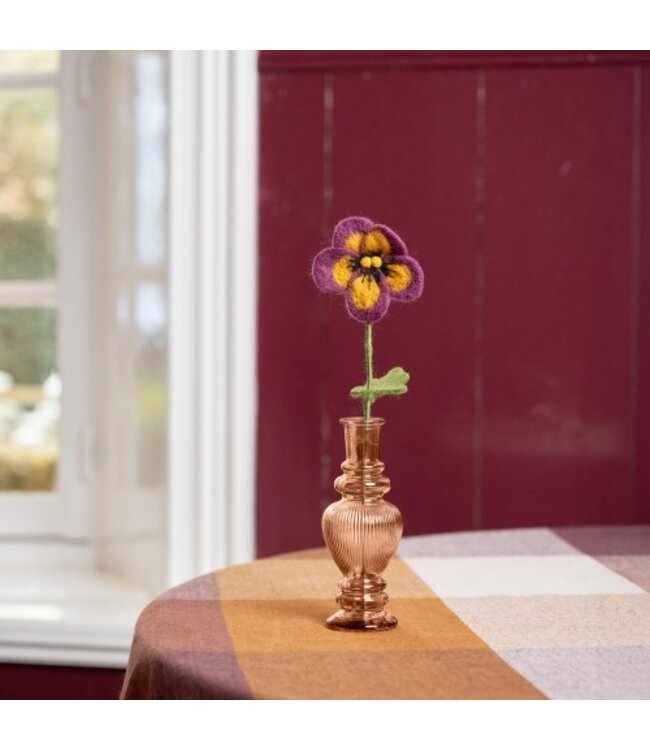 SJAAL MET VERHAAL  •• Winterviool