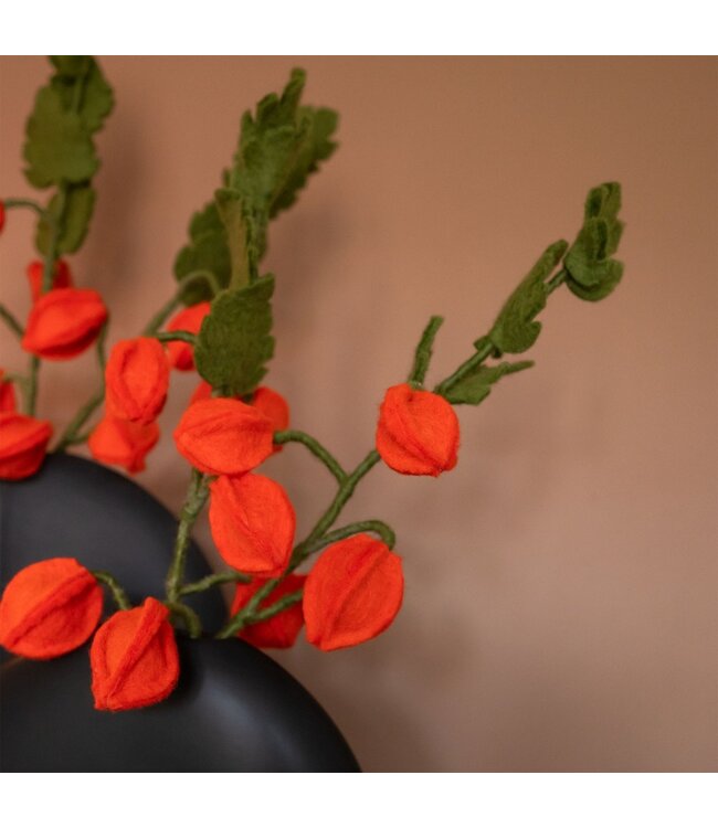 SJAAL MET VERHAAL  •• Tak Physalis Lampion | gemaakt van wol vilt