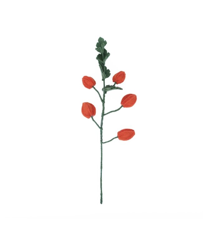 SJAAL MET VERHAAL  •• Tak Physalis Lampion | gemaakt van wol vilt