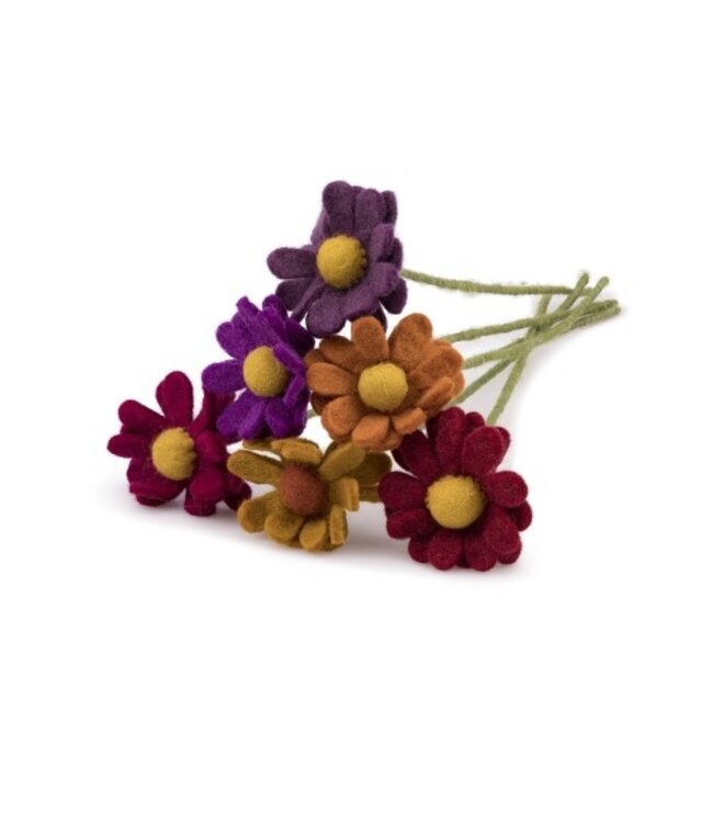 SJAAL MET VERHAAL  •• Herfst Margrietje