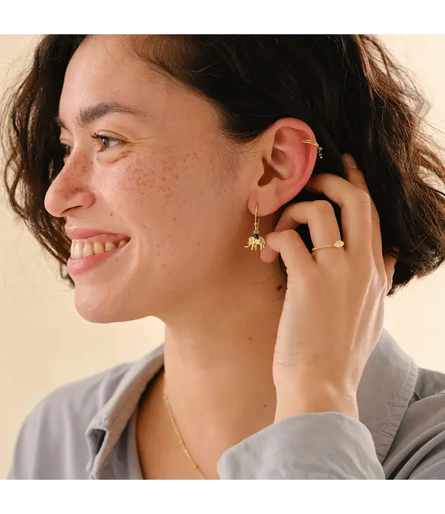 A BEAUTIFUL STORY •• Generous Lapis Lazuli Earrings