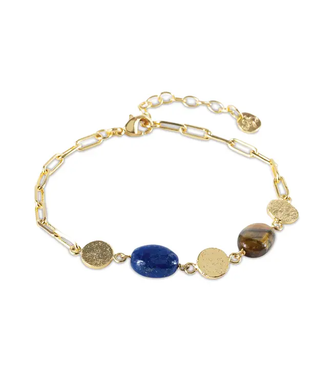 A BEAUTIFUL STORY •• Aesthetic Lapis Lazuli Tijgeroog Armband verguld