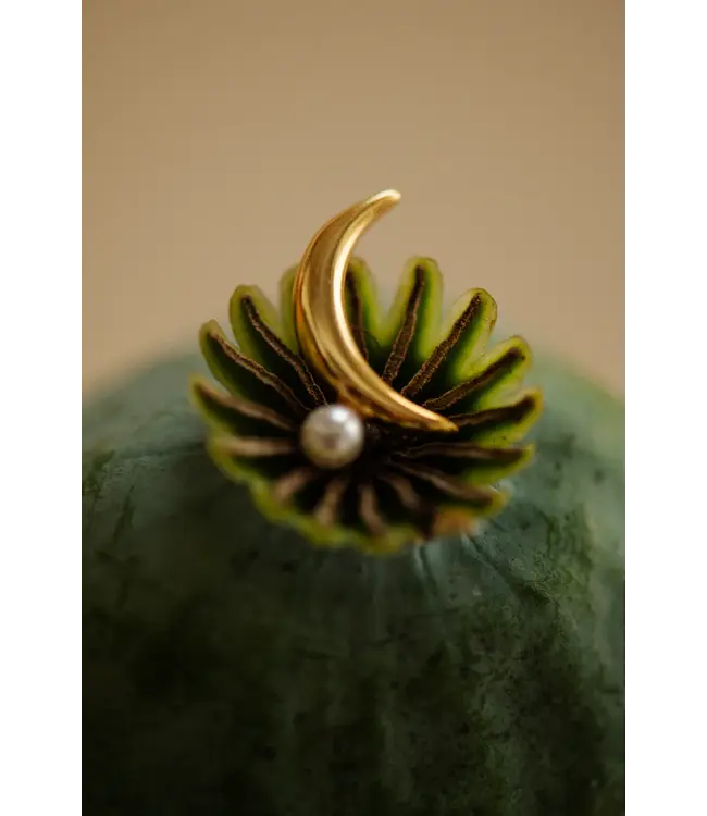 JULES BEAN •• Oorbellen Wanderer