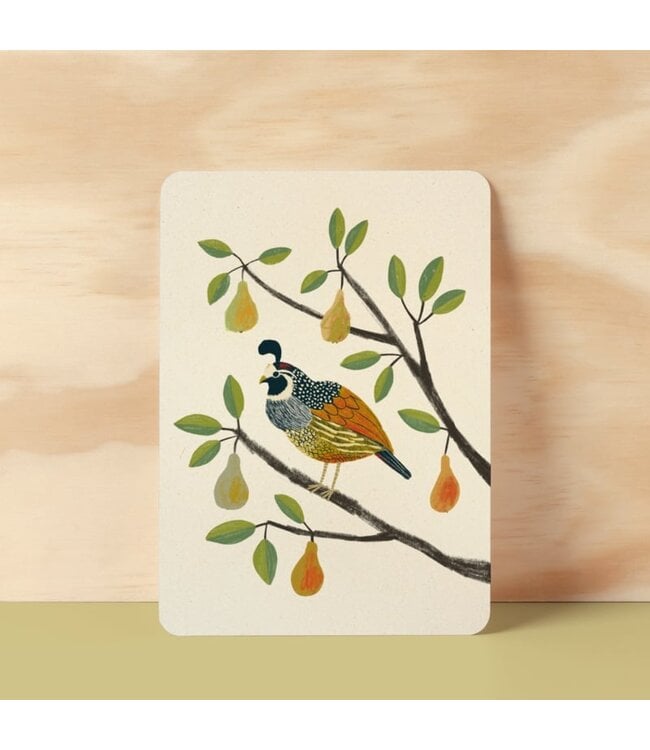 Illu-ster •• Ansichtkaart | Partridge in a pear tree