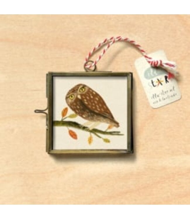 Illu-ster •• Glass frame | 65 x 65