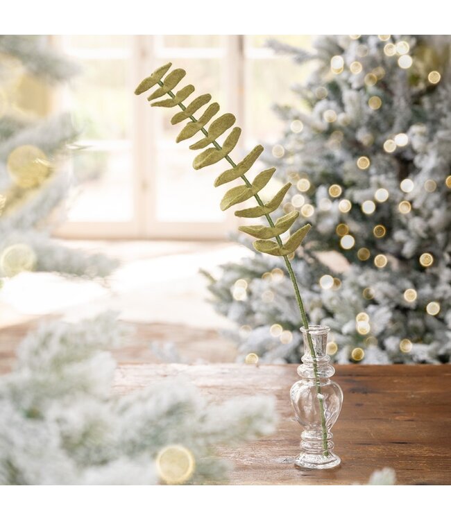 SJAAL MET VERHAAL  •• Tak Eucalyptus Lichtgroen