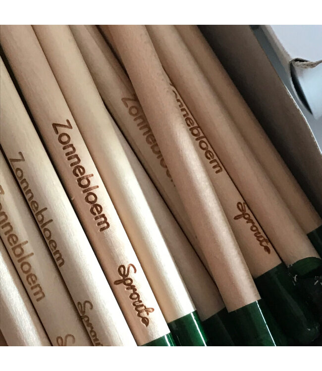 Bloom •• Bloeipotlood