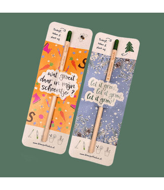 Bloom •• Bloeipotlood SINT of KERST