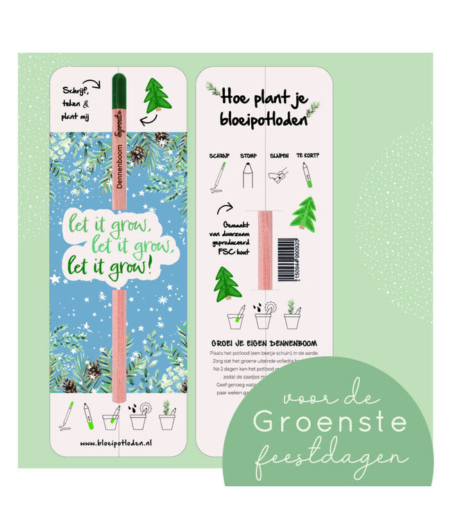 Bloom •• Bloeipotlood SINT of KERST