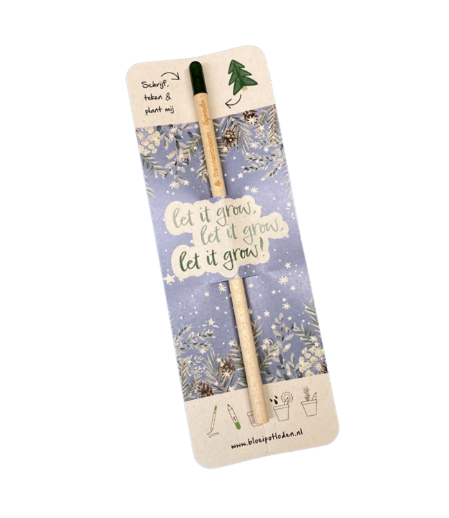 Bloom •• Bloeipotlood SINT of KERST