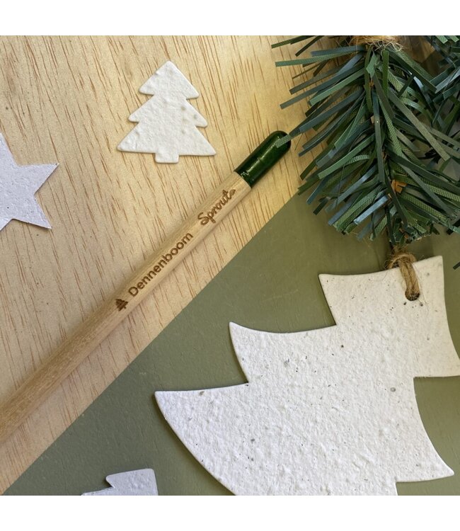 Bloom •• Bloeipotlood SINT of KERST