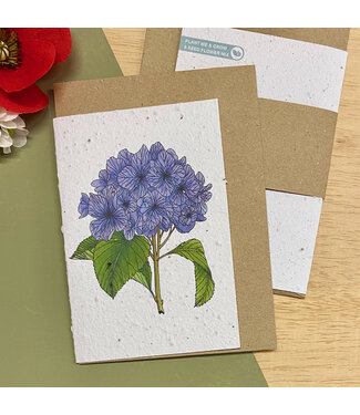 Bloom •• Bloeikaart HYDRANGEA| fairtrade made