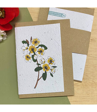 Bloom •• Bloeikaart BLOSSOM fairtrade made