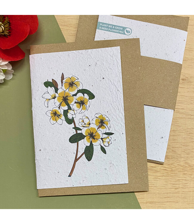 Bloom •• Bloeikaart BLOSSOM | fairtrade made