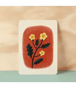 Illu-ster •• Ansichtkaart | Ranunculus