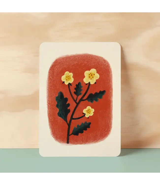 Illu-ster •• Ansichtkaart | Ranunculus