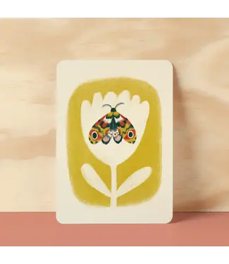 Illu-ster •• Ansichtkaart | Pupation