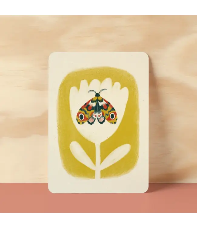 Illu-ster •• Ansichtkaart | Pupation