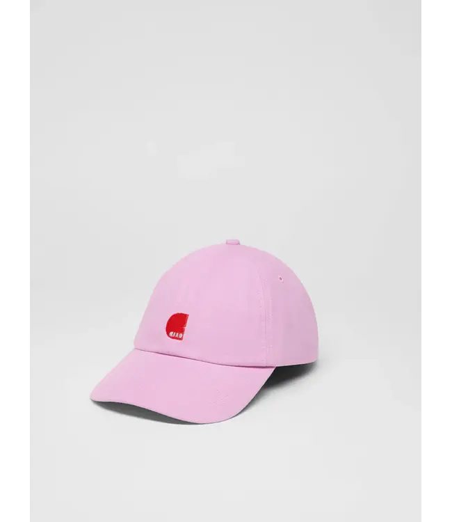 LANIUS •• Statement pet | Orchid