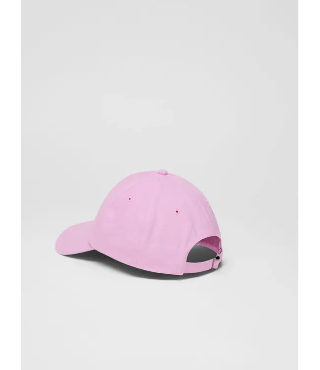 LANIUS •• Statement pet | Orchid