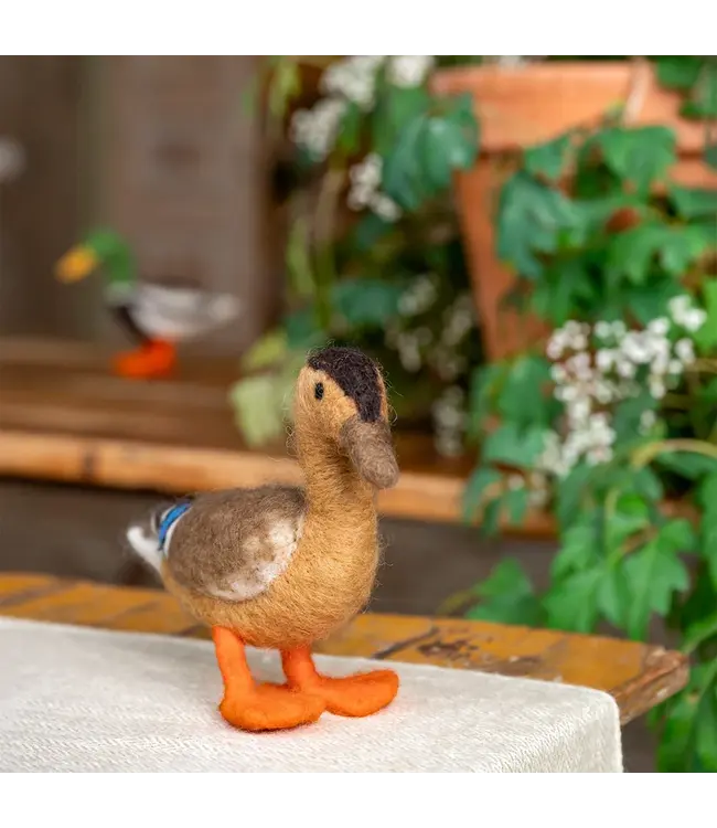 SJAAL MET VERHAAL  •• Decoratie Eend