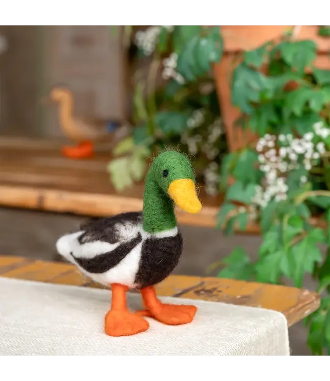 SJAAL MET VERHAAL  •• Decoratie Eend