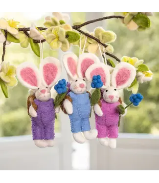 SJAAL MET VERHAAL  •• Hanger Haas met Mand | 3 verschillende kleuren