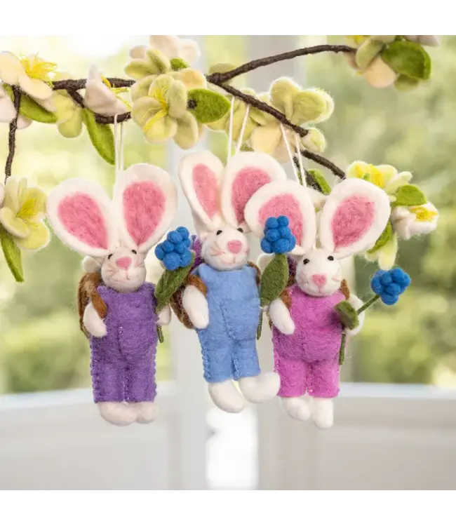 SJAAL MET VERHAAL  •• Hanger Haas met Mand | 3 verschillende kleuren