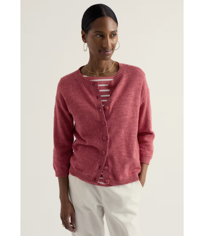 SEASALT CORNWALL •• Vest Pentire Steps | Enchinacea