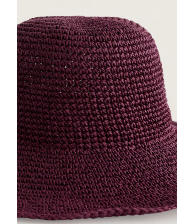 SEASALT CORNWALL •• Zonnehoed Sculpture Garden | Dark Freesia