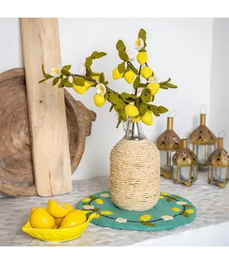 SJAAL MET VERHAAL  •• Tak Citroen