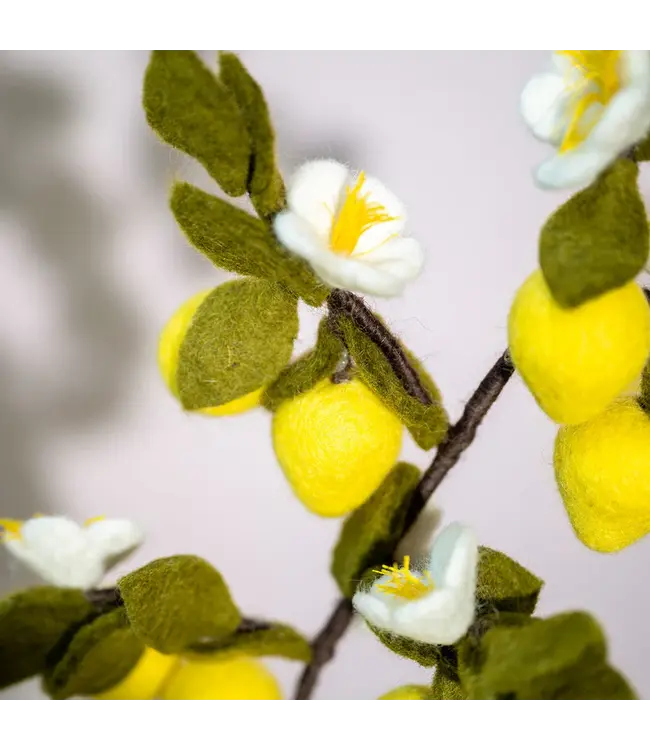 SJAAL MET VERHAAL  •• Tak Citroen