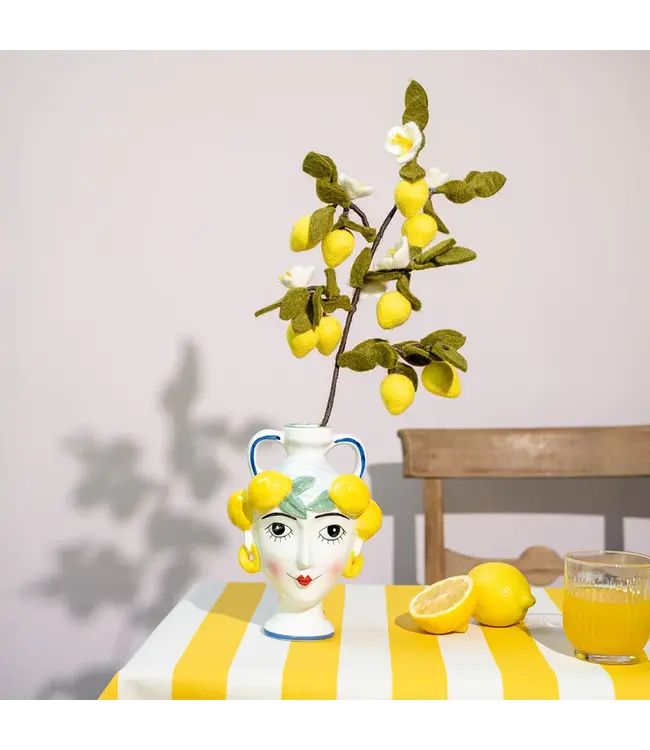 SJAAL MET VERHAAL  •• Tak Citroen