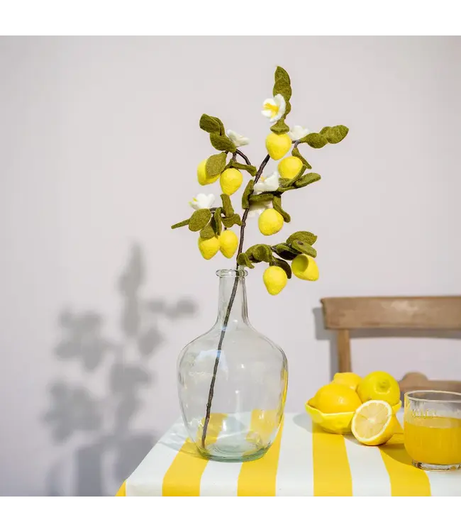 SJAAL MET VERHAAL  •• Tak Citroen