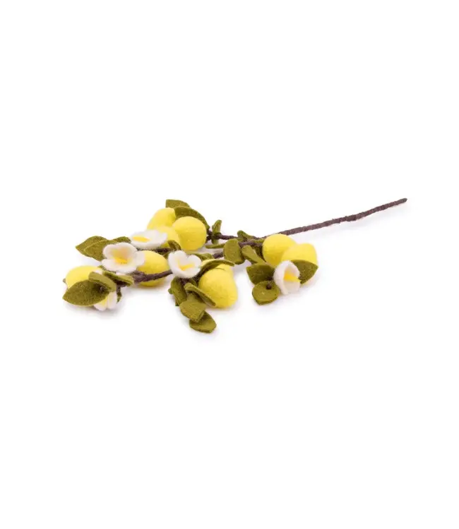 SJAAL MET VERHAAL  •• Tak Citroen