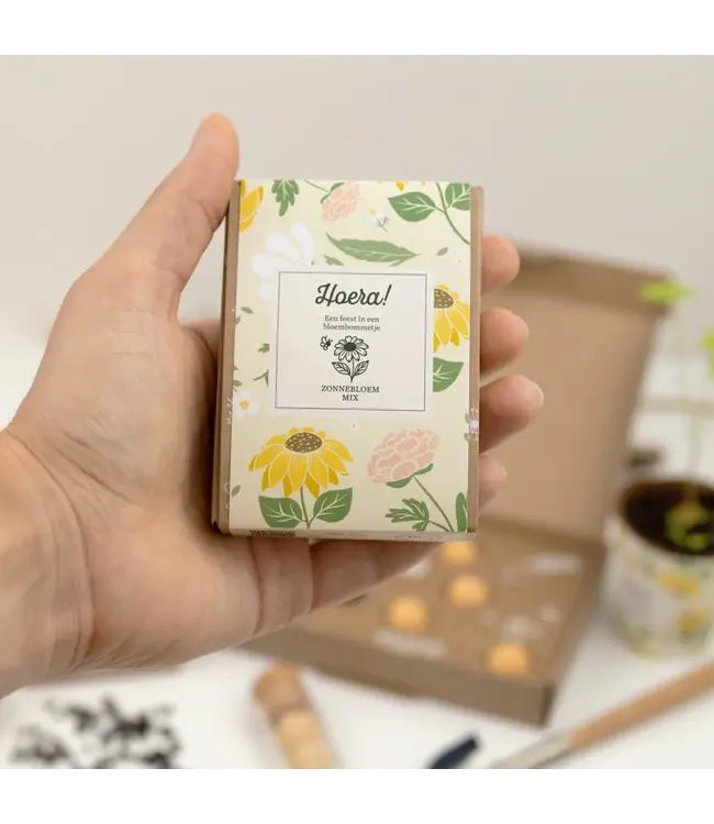 BLOSSOMBS •• Gift Box Mini |  Hoera