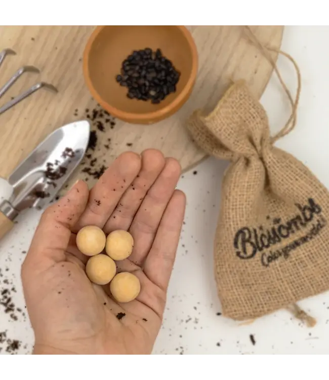 BLOSSOMBS •• Gift Box Small |  Hoera