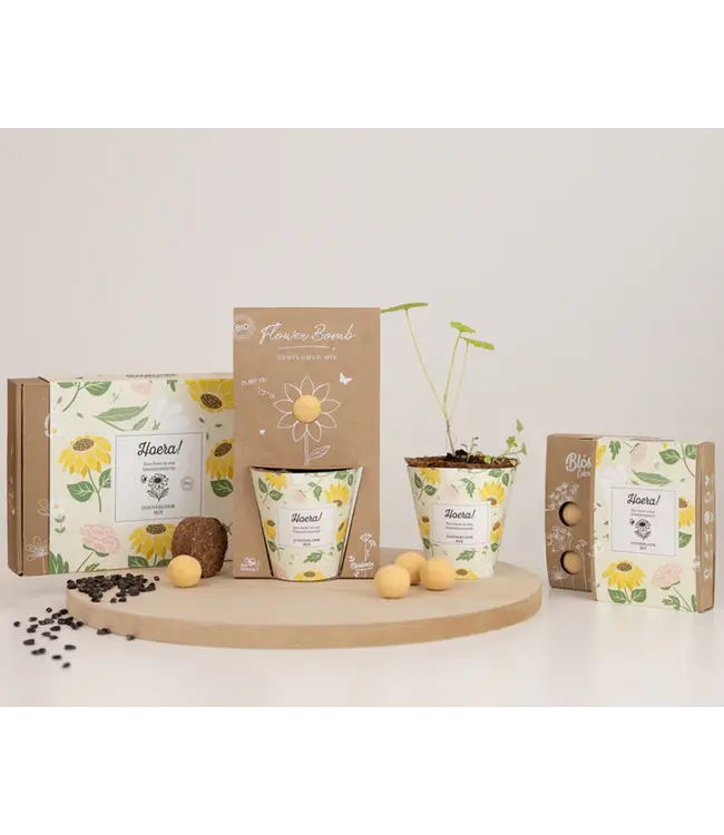 BLOSSOMBS •• Gift Box Small |  Hoera