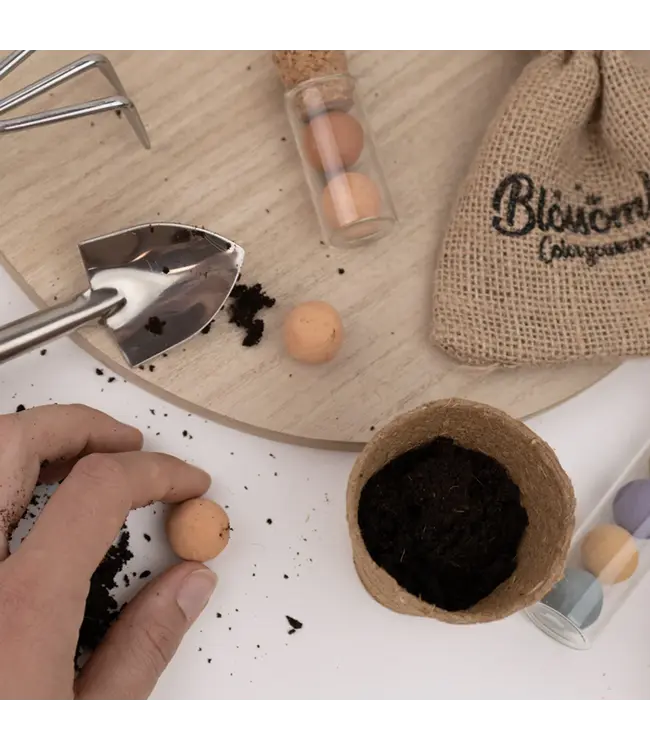 BLOSSOMBS •• Gift Box Mini |  Veel liefs