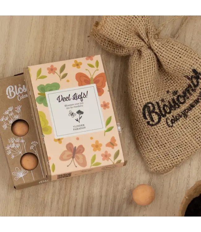 BLOSSOMBS •• Gift Box Mini |  Veel liefs